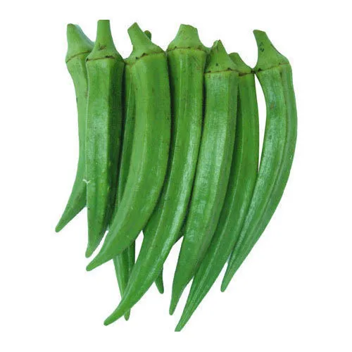 Fine Quality Fresh Green Lady Finger / Okra / Bhindi /  Wholesale Cheap Price Seller From India Indian vegetable Seller .