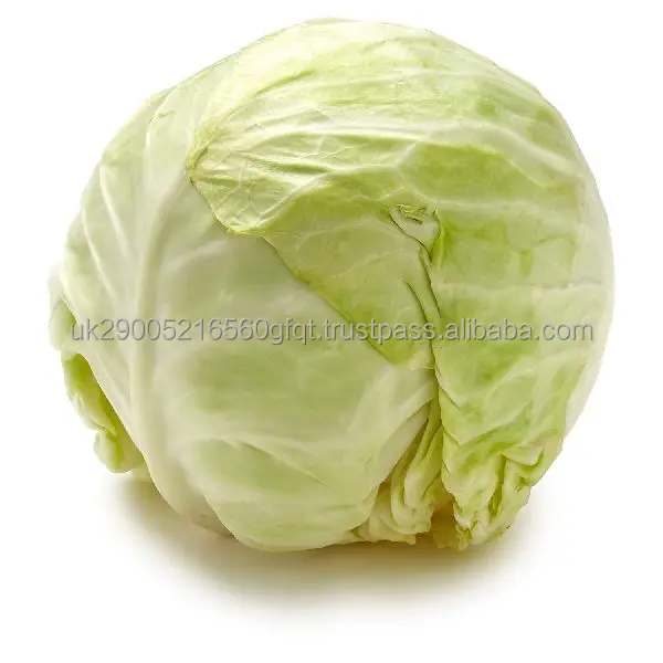 -cabbage-.jpeg