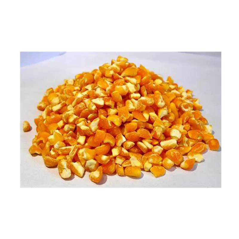 
Buy Best Selling 100% Natural & Broken Maize Corn Available In Premium Packaging For 12 Months Longer Shelf Life 