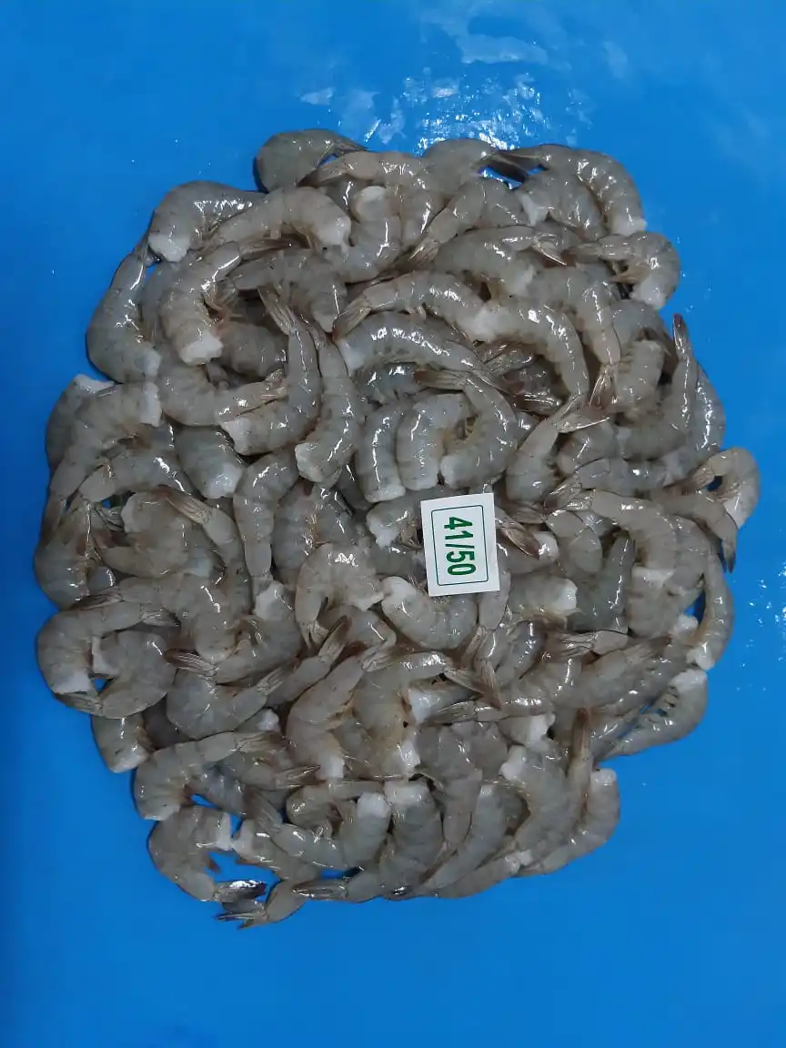 MOST POPULAR FROZEN HLSO VANNAMEI SHRIMP EXPORT INDIA SHRIMP HEAD LESS SHELL ON INDIAN SUPPLY SEAFOOD