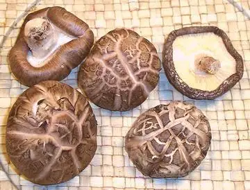 High quality Dried Shiitake Mushroom from Viet Nam  / WhatApp: +84 334963531