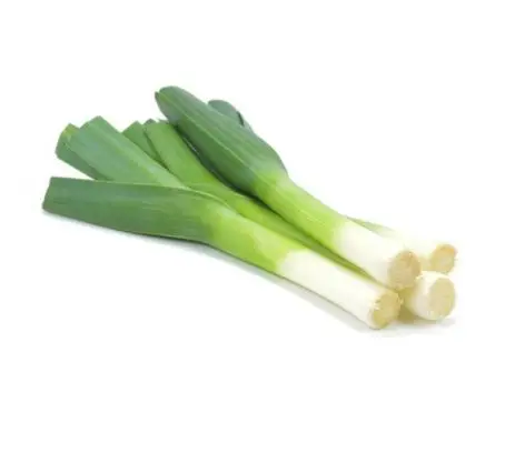 FRESH LEEKS FROM TURKEY WHOLESALE A GRADE READY TO EXPORT NEW CROP 2021
