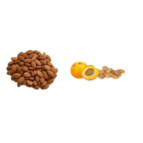 Оптовая продажа органических ядер Горького абрикоса, питательные ядра сырья абрикоса для продажи