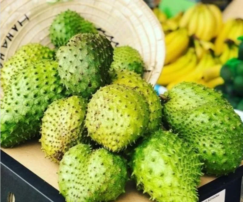 
Whosale Fresh Soursop Fruit Premium from Vietnam/ Sweet and sour taste Fruit. 