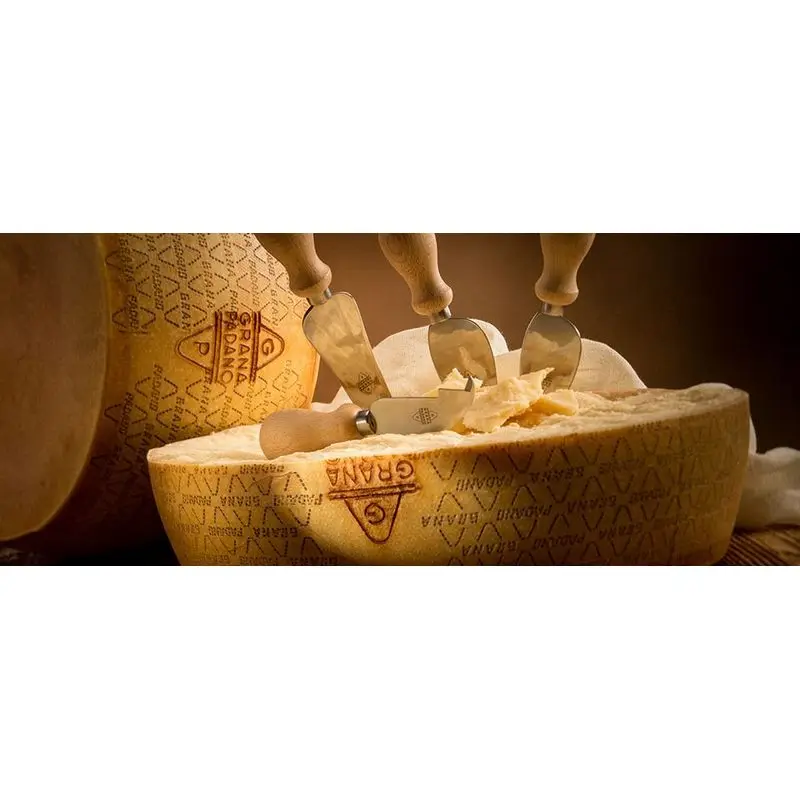 BEST QUALITY MADE IN ITALY CHEESE RESERVE 23 MONTHS HOT SALE