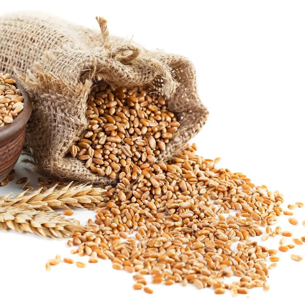 Price Wheat Grain 1 ton For Sale