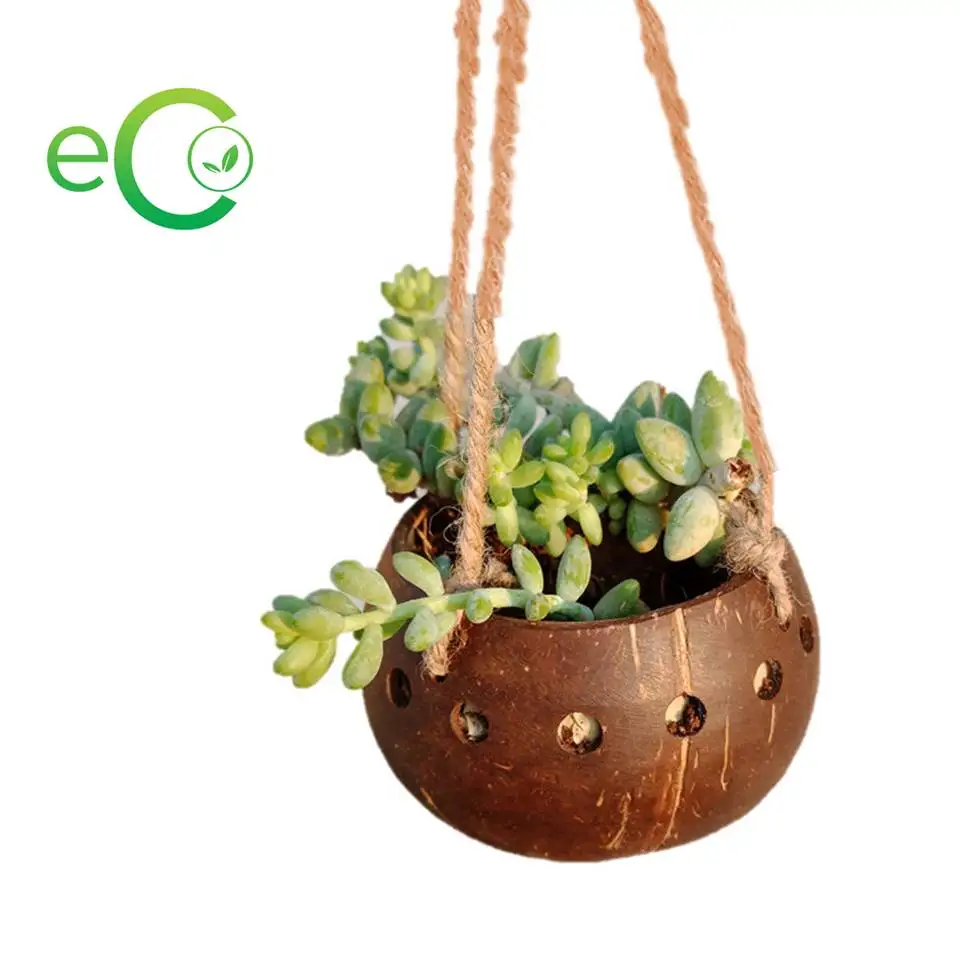 Хороший выбор для сада горшок из натуральной кокосовой скорлупы/горшок растений скорлупы и цветов