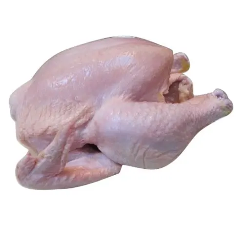 buy Halal Whole Frozen Chicken For Export /Halal Frozen Whole Chicken available now for export