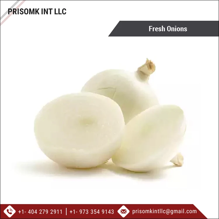 2021 New Crop Good Quality Wholesale Fresh Onions/ Onions Supplier