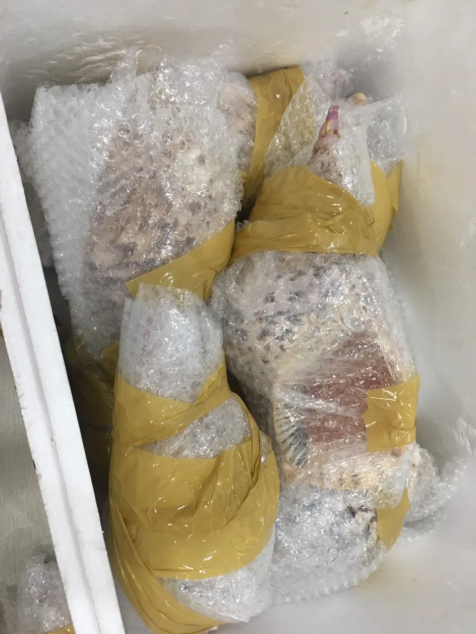 Ракушка 35 см ракушка с красным ртом для модного украшения натуральный пляж фон свадьбы праздника золото