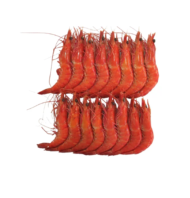 High quality Wholesale Raw HOSO Vannamei Shrimp Head On Shell On  Vietnam Fresh Seafood ready to ship, export