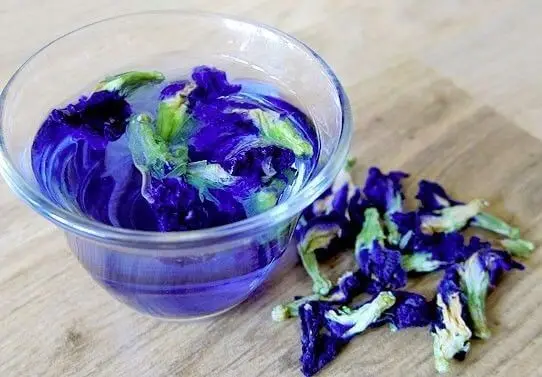 Private Label OEM Organic Butterfly Pea Flower Tea Powder Premium Grade Fine Ground Bulk From Thailand