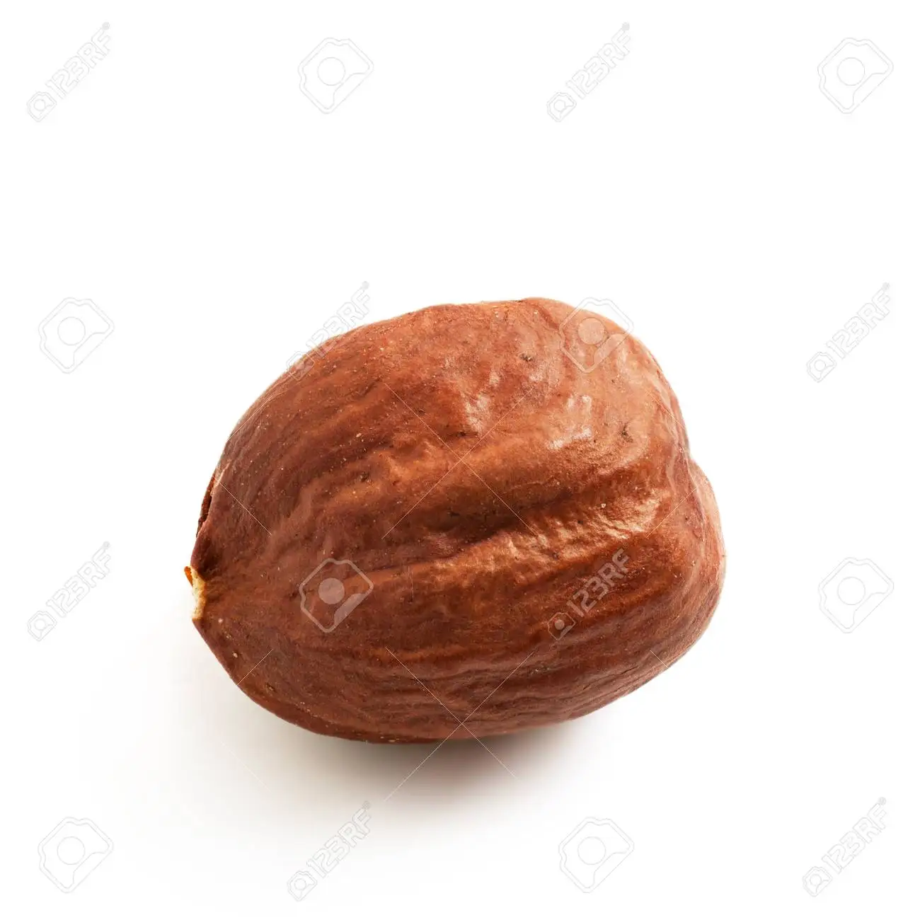 Сырые орехи в скорлупе | Лесные орехи