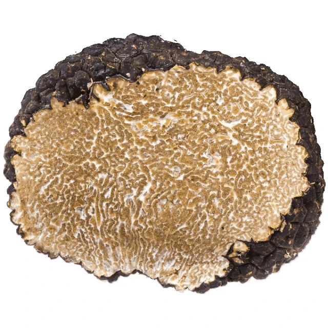 
Wholesale Fresh Frozen Wild Black Truffles from Yunnan China Tuber Melanosporum fresh truffles Younium Fresh Matsutake Mushroom 