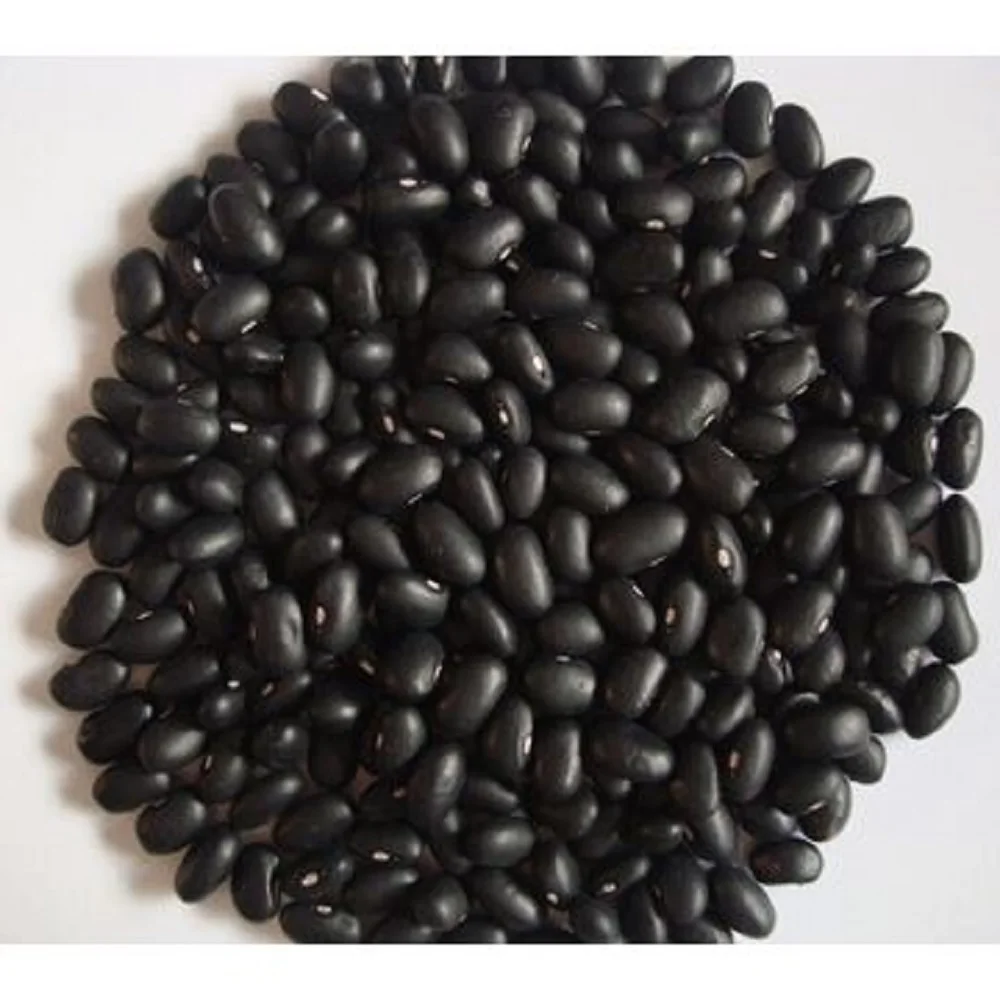 black kidney bean Beans in thailand with good price