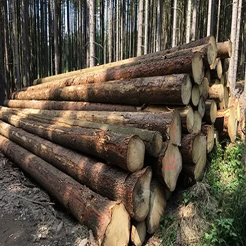 Деревянные бревна из сосны и
