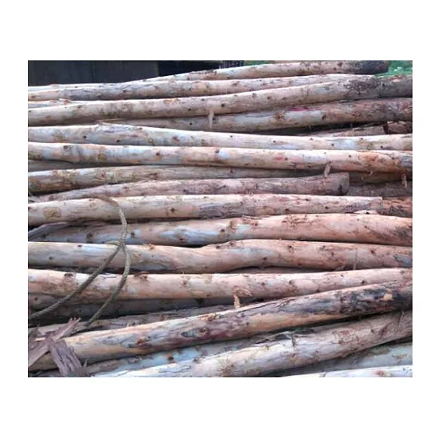 Самая дешевая цена 100% деревянный эвкалипт из Вьетнама