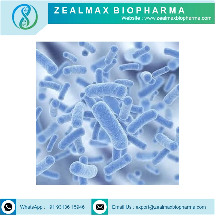 Nutritional Supplement Probiotics lactobacillus casei - Zealmax Biopharma