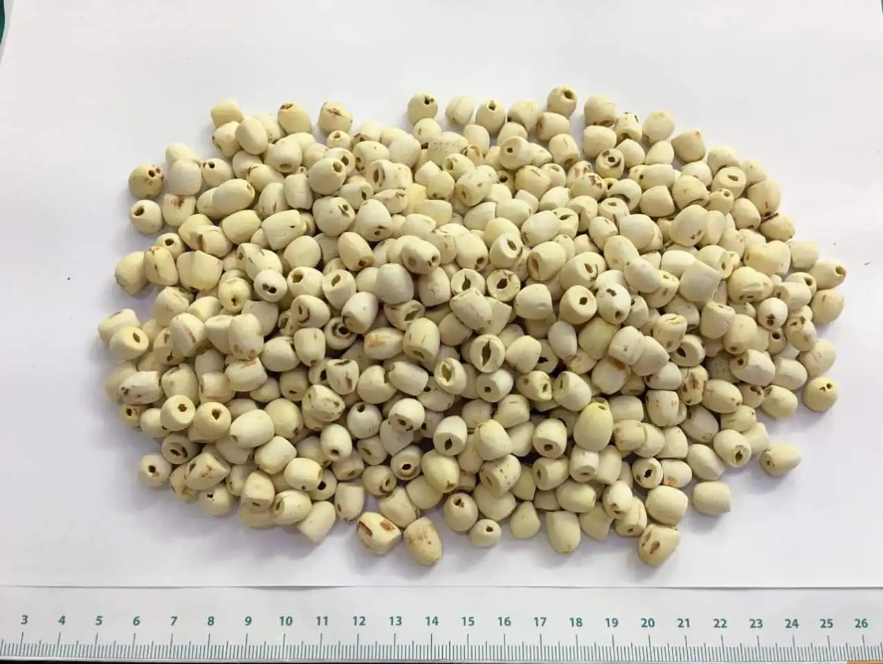 WHITE LOTUS SEED good quality from Vietnam for sale , contact +84984418844 whatsapp