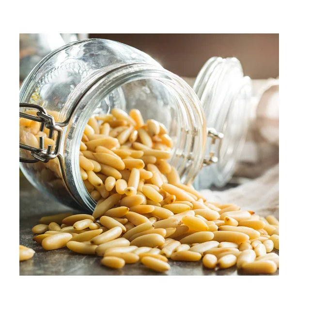 Best Selling Premium Quality Pine Nuts Chilgoza In Wholesale Price
