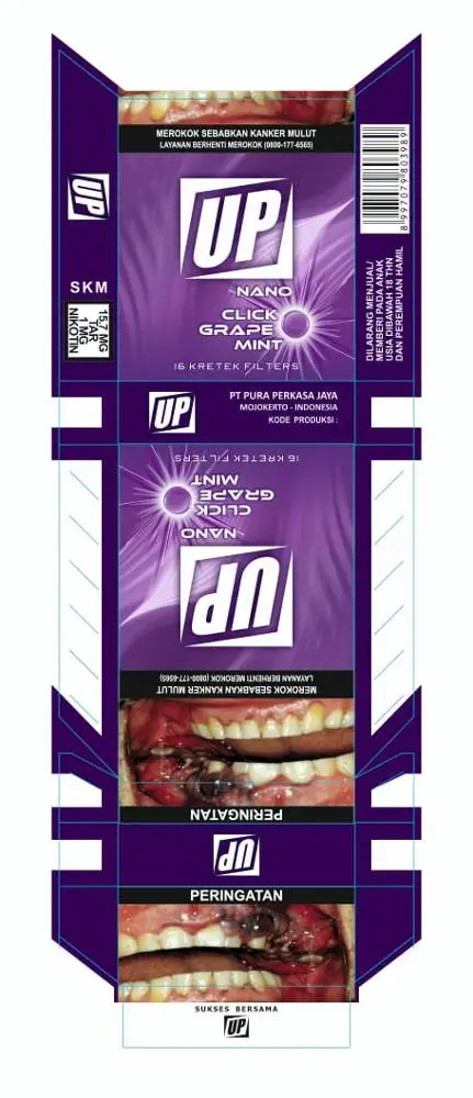 UP NANO Click Grape Mint