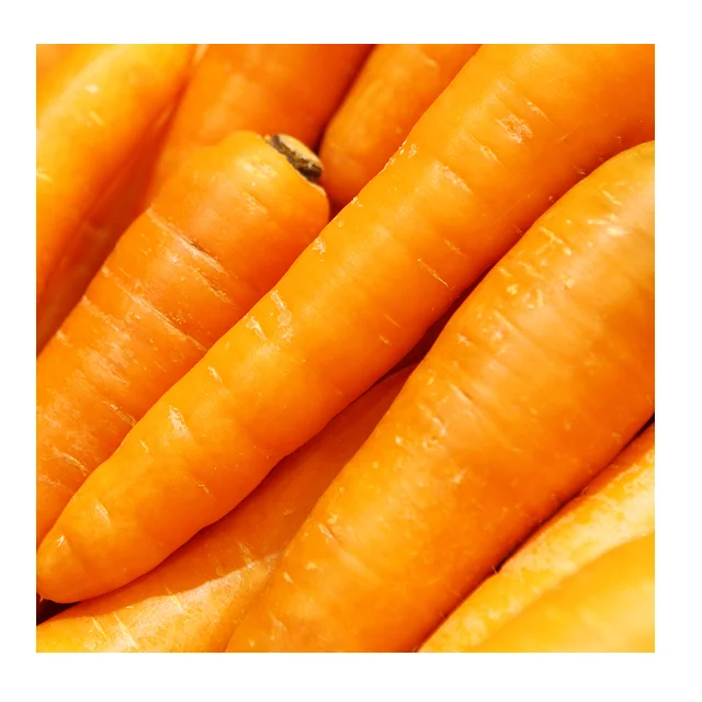 Fresh Carrots2.png