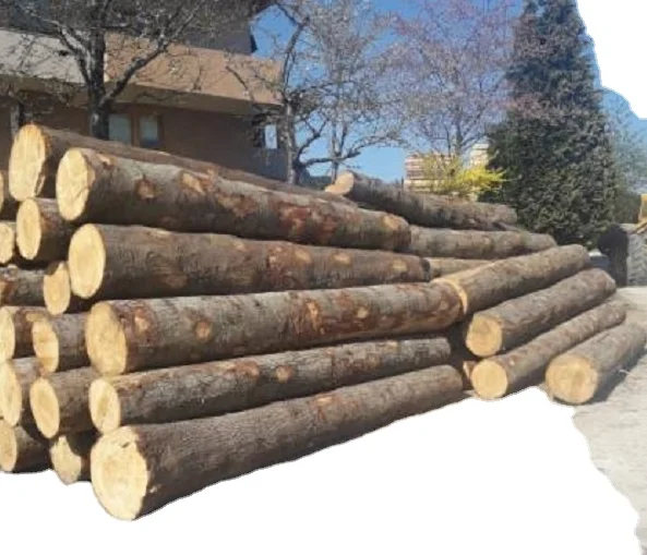Raw  cut Beech Logs , Cherry Logs, Birch Logs for sale/western red cedar logs for sale