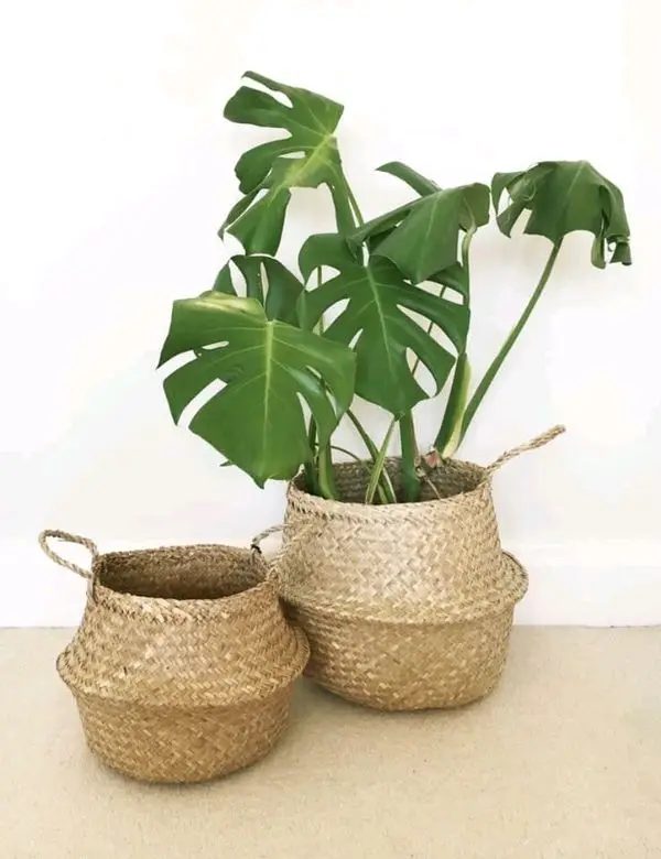
Foldable Reusable Biodegradable Picnic, Laundry, Plants growing, storage Seagrass Basket Vietnam Handicraft With 5 Sizes 