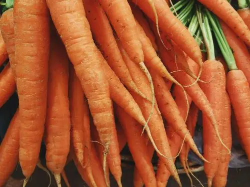 
Long Orange Organic Fresh Carrots 