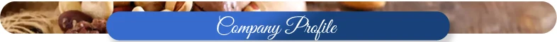 Company-Profile.jpg