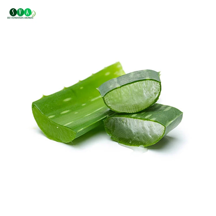 Wholesale 100% Pure Natural Organic Aloe Vera Oil from Indian Manufacturer
