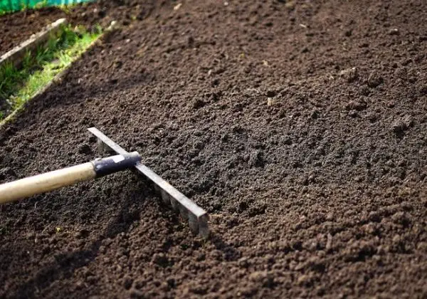 Best price Dry peat moss Peat Lithuania for planting/Hana +84 901 006 904