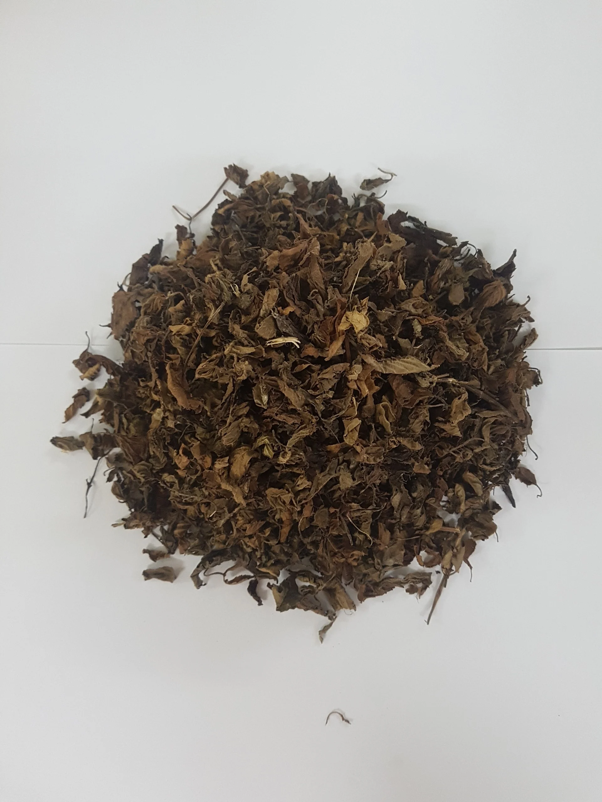 Mesona procumbens листья желе из сушеной травы-Ms Кэти