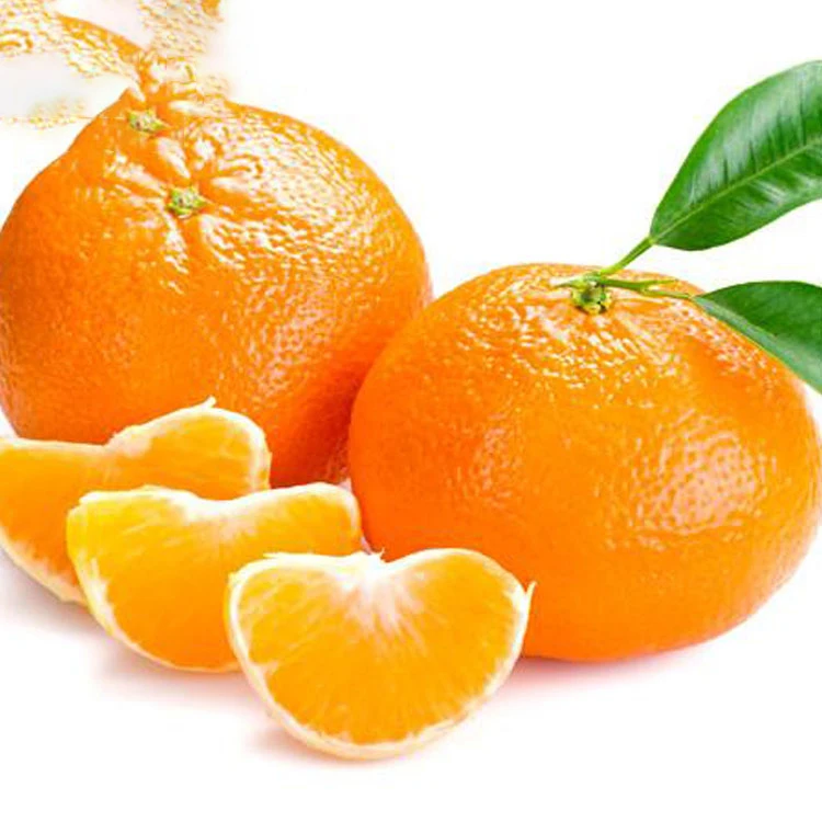 Kinnow Price Pakistan Sargodha Kinnow, Bulk Fresh mandarin orange