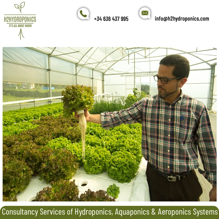 Extremely Qualified Hydroponics/Aquaponics Project Consultation Service