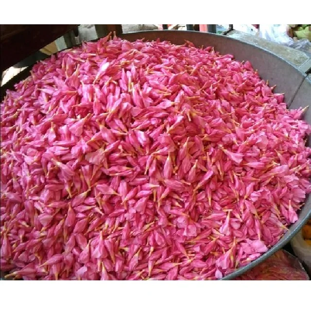 Arali Poo Fresh Nerium oleander Flowers Pink color red and white Arali Flower Buy Fresh Flower at best price