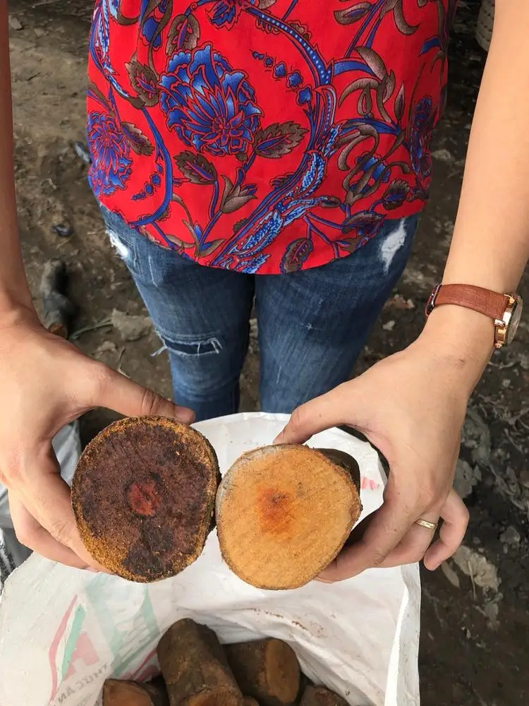 Natural Sawn Timber - Hot firewood from Vietnam