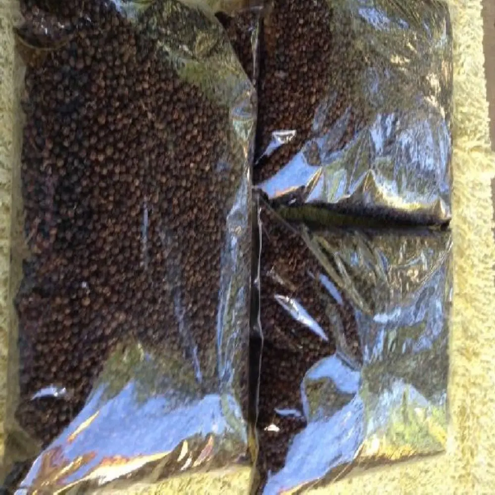 Sri Lanka Black Pepper Wholesale Directly from Sri lanka Ceylon