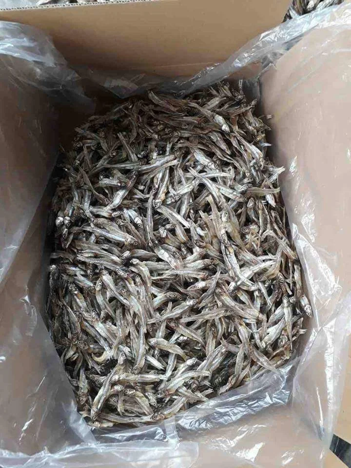Best quality Dried anchovy by sunshine from Vietnam (Anchois) AD Process - seafood.linda(at)gmail(dot)com W/S: 0084 989 322 607