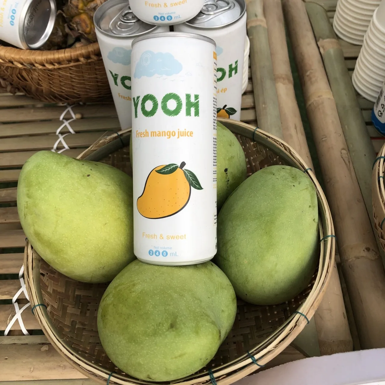 OEM manufacturer YOOH Brand Fresh Mango Juice can 240ml wholesale natural and pure fresh - squeezed