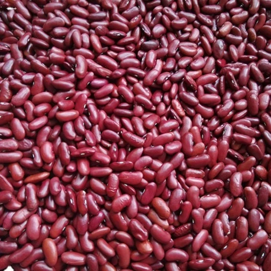 Red Kidney Beans  Yunnan Red Kidney Beans For Canned Purple Kidney Bean for sale