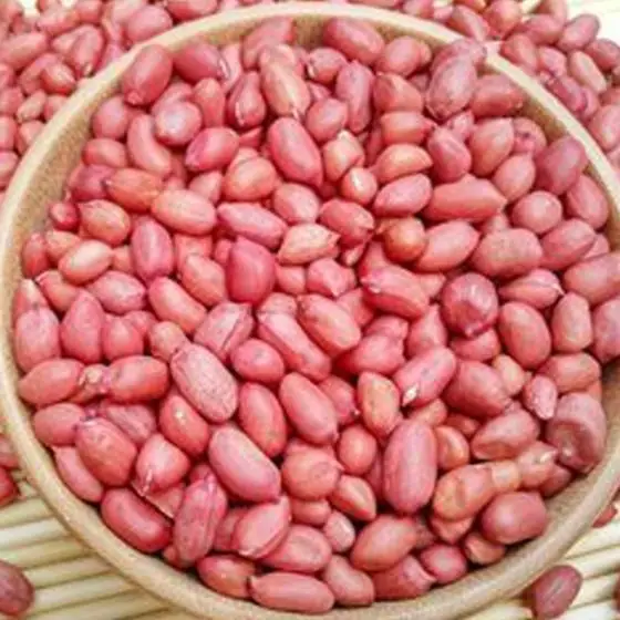 -Groundnuts.jpg