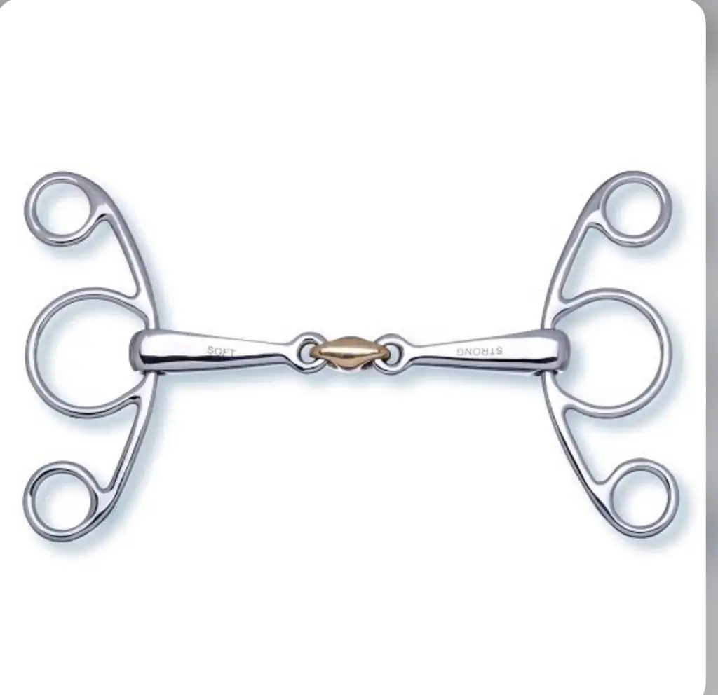 Horse Bits Double Ring Bits