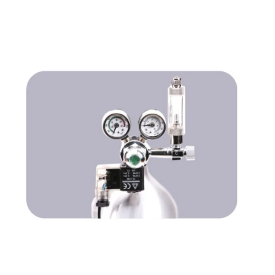 Aquarium CO2 regulator,With check valve Bubble counter Solenoid valve Control system kit Aquarium CO2 pressure reducing valve