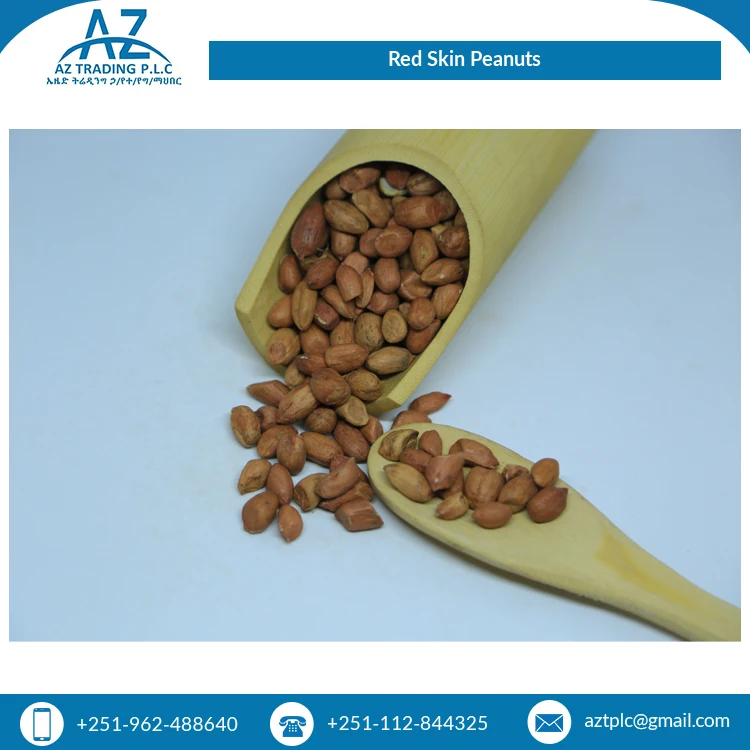 African Supplier Bulk Selling Huge Demand Quality Fresh Red Skin New Crop Peanuts