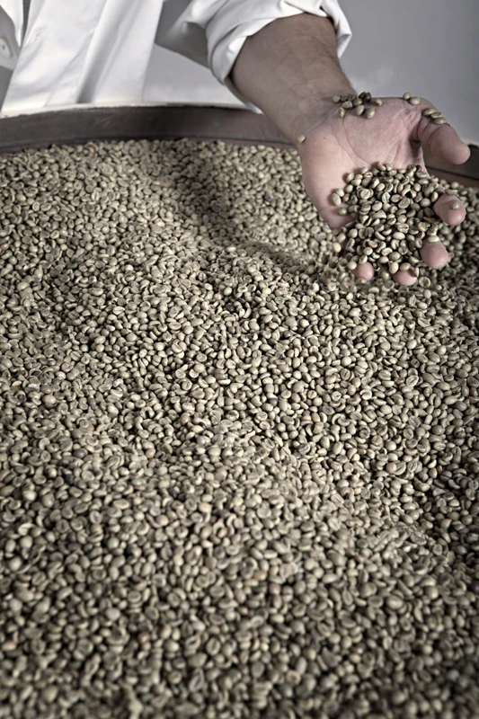 
Gold Extra Bar Caffe del Faro professional wholesale roasted luxury coffee pods coffee tables coffee capsule modern 