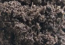 Оптовая поставка высококачественного торфяного Моха из Вьетнама Ms Sophie + 84 901 022 641