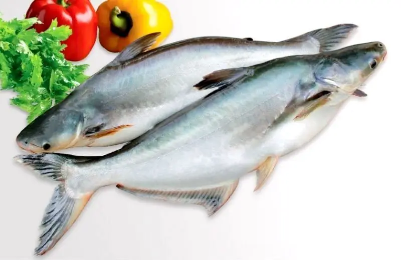 Вьетнамская Высококачественная замороженная рыба Баса (PANGASIUS) Замороженная филе