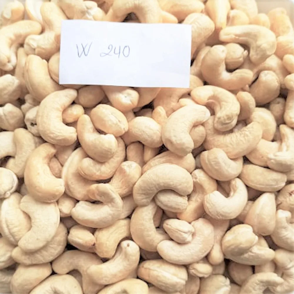 
Cashew Nuts for wholesale (W240) from Vietnam / All sizes and Carefully packaged (As requires) 