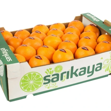 
Fresh Washington Navel Orange 